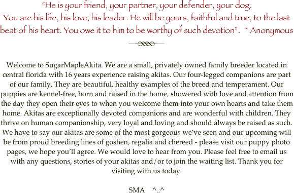 essay on faithful dog essay on faithful dog